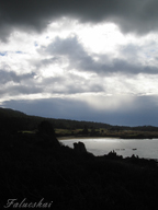 real estate, real estate broker, CAR, MCAR, monterey bay real estate, photography, web design, art, buy a home, sell a home